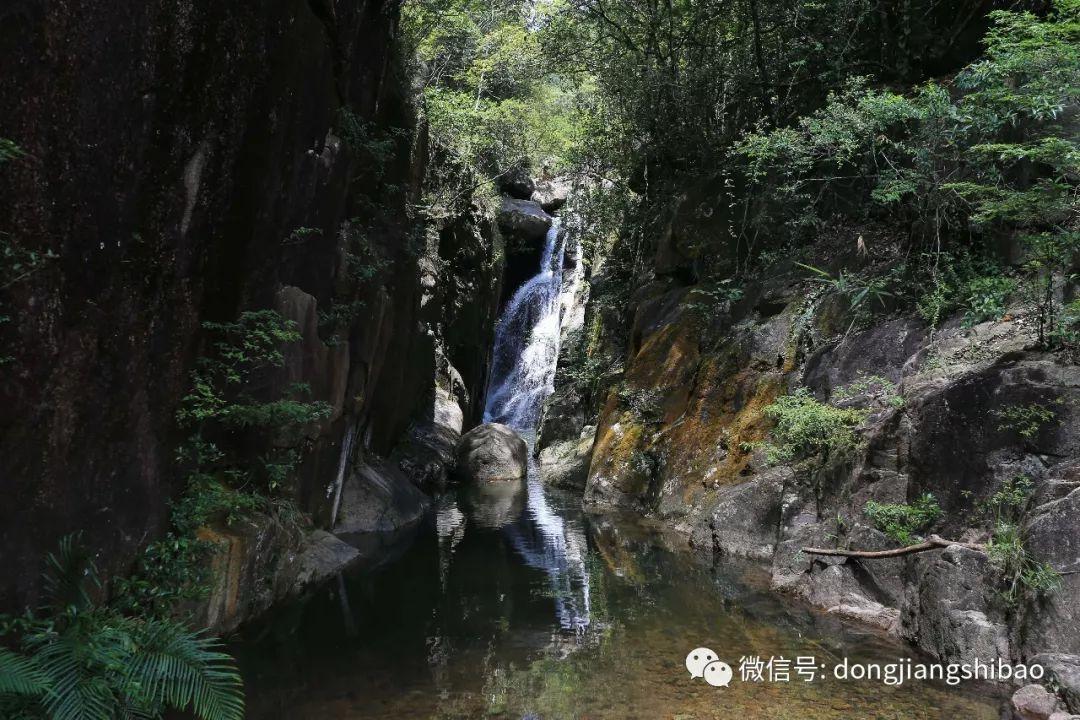 沪江开心词场